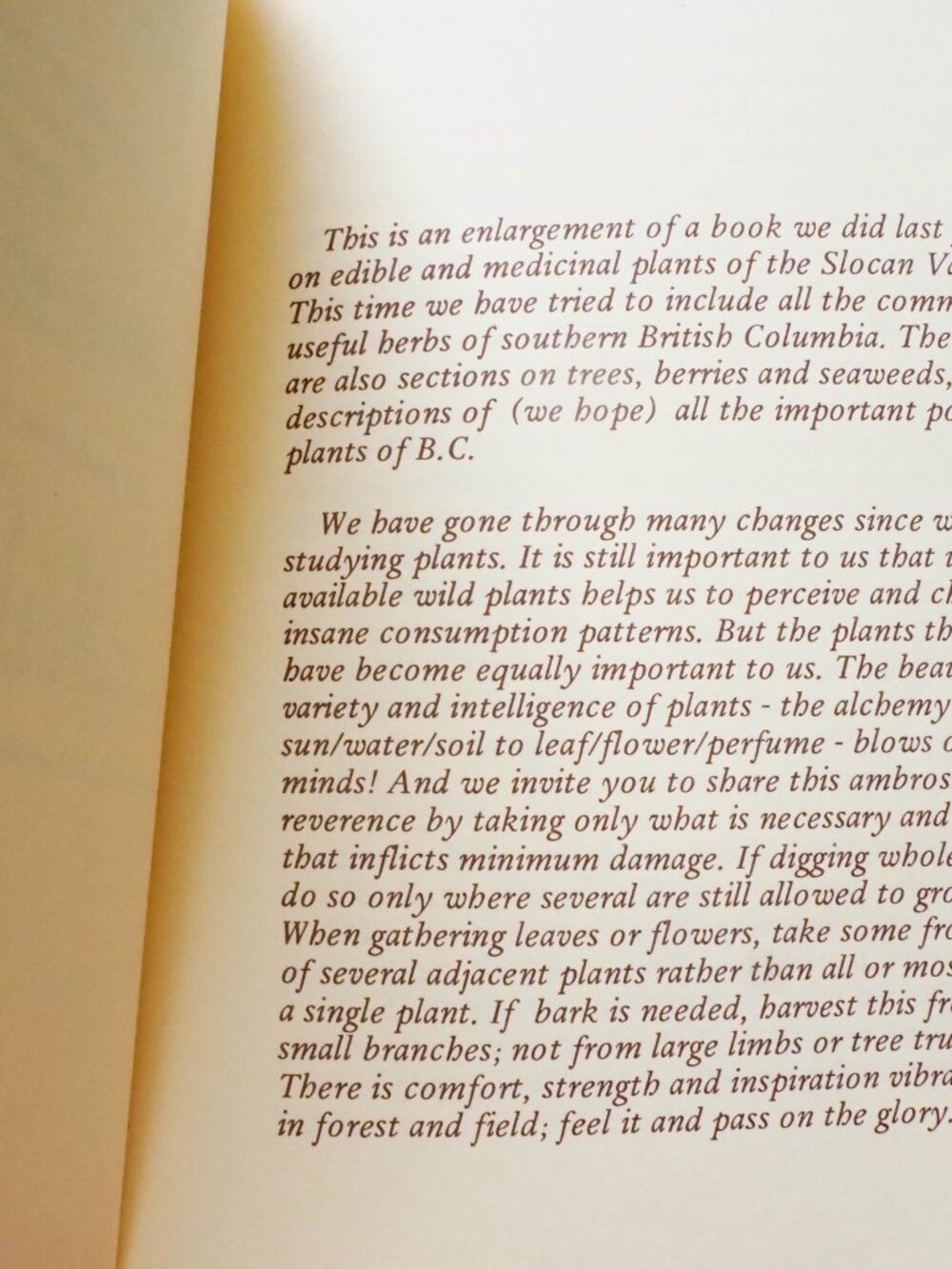 Some Useful Wild Plants - 1973 - David Manning - Vintage Foraging Guide - Picture 10 of 16